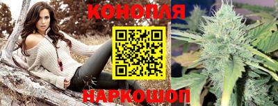 ПСИЛОЦИБИНОВЫЕ ГРИБЫ Отрадное
